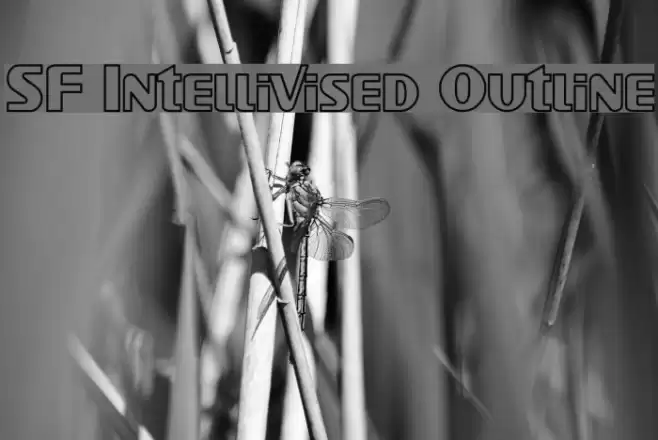 SF Intellivised Outline Font examples