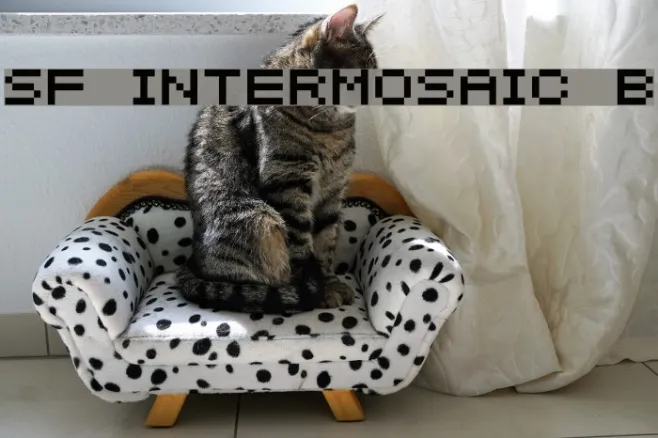 SF Intermosaic B Example 2