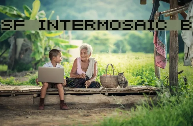 SF Intermosaic B Example 3