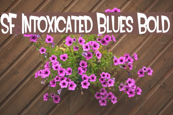 SF Intoxicated Blues Bold Font examples