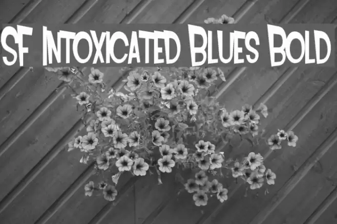 SF Intoxicated Blues Bold Fonte examples