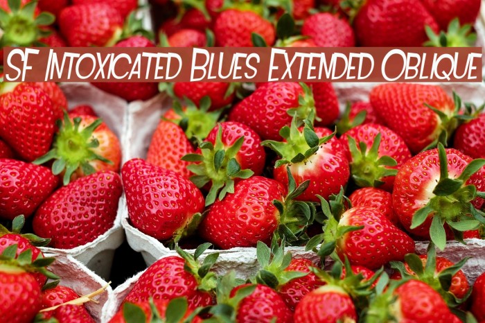 SF Intoxicated Blues Extended Oblique Font examples