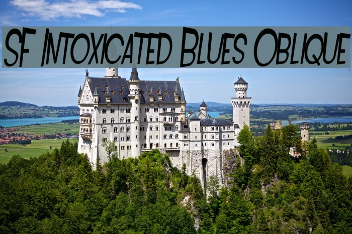 SF Intoxicated Blues Oblique Font examples