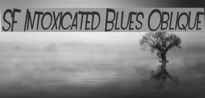 SF Intoxicated Blues Oblique Font examples