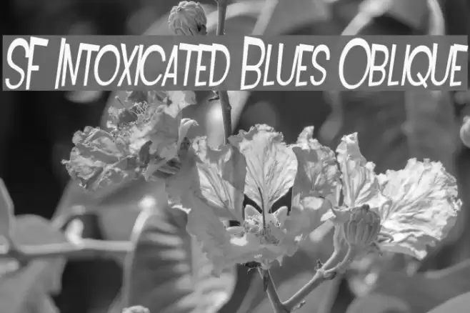 SF Intoxicated Blues Oblique Font examples