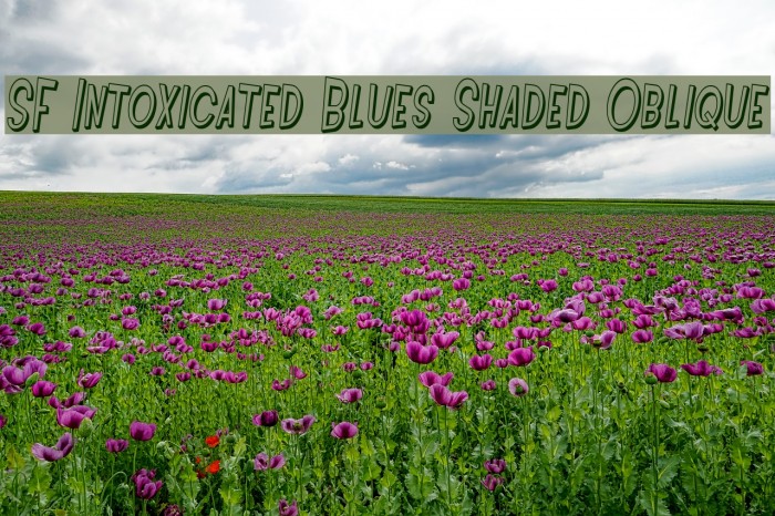 SF Intoxicated Blues Shaded Oblique Font examples