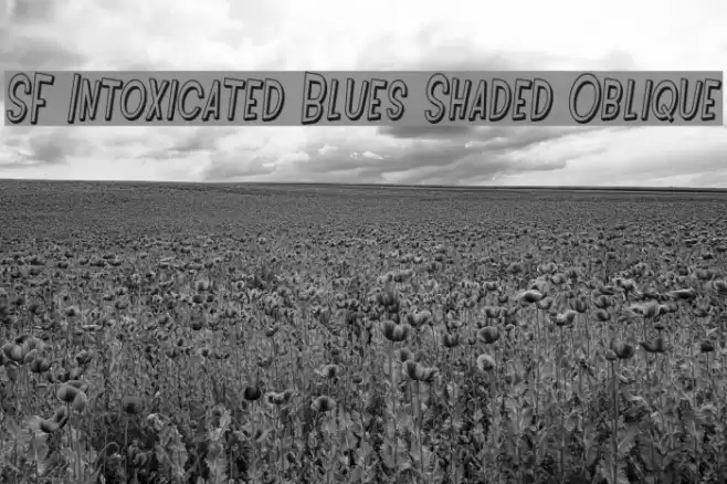 SF Intoxicated Blues Shaded Oblique Шрифта examples