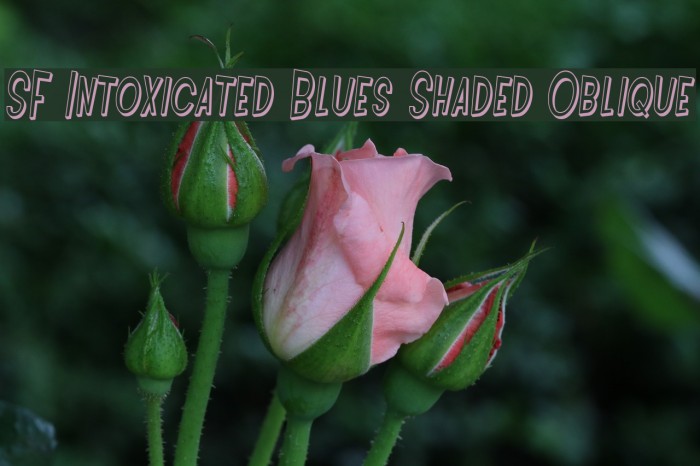SF Intoxicated Blues Shaded Oblique Font examples