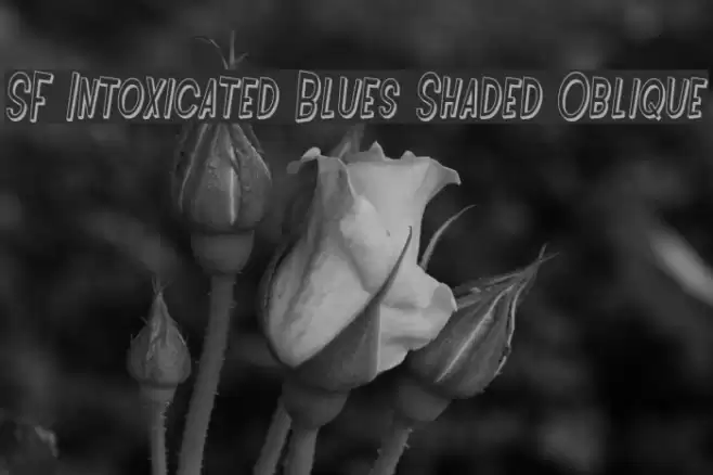 SF Intoxicated Blues Shaded Oblique Шрифта examples