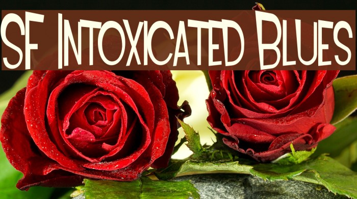 SF Intoxicated Blues Font examples