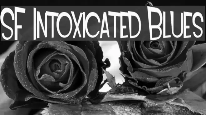 SF Intoxicated Blues Caratteri examples