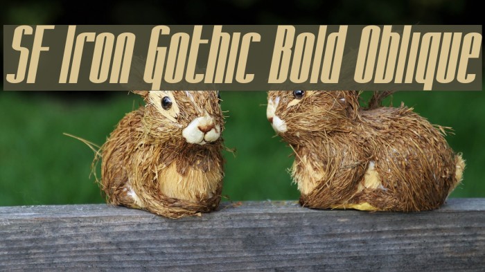 SF Iron Gothic Bold Oblique Font examples