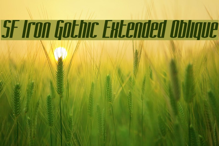 SF Iron Gothic Extended Oblique لخطوط تنزيل examples