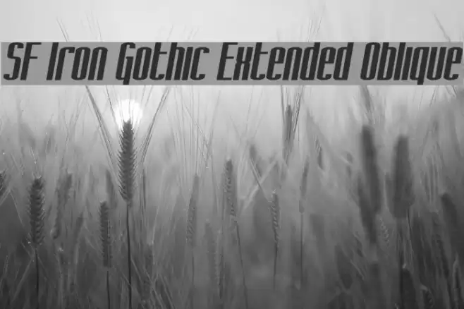 SF Iron Gothic Extended Oblique フォント examples