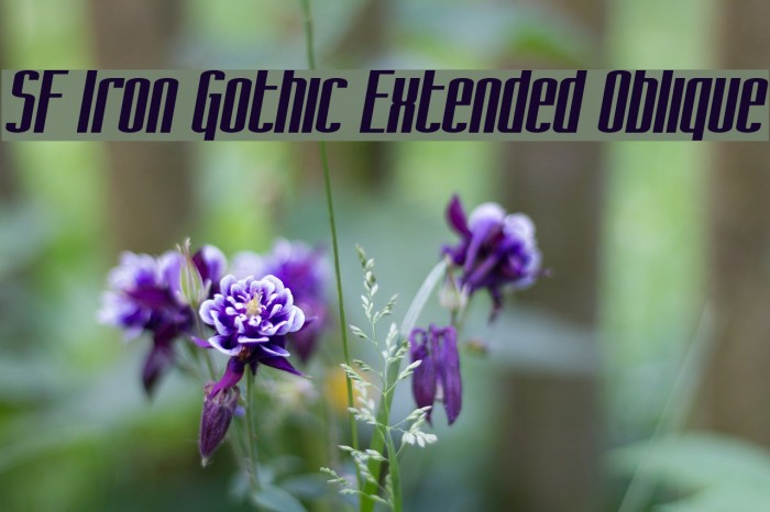 SF Iron Gothic Extended Oblique لخطوط تنزيل examples