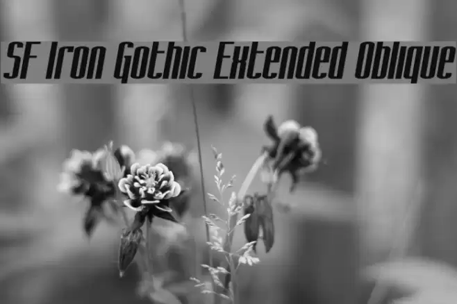 SF Iron Gothic Extended Oblique フォント examples