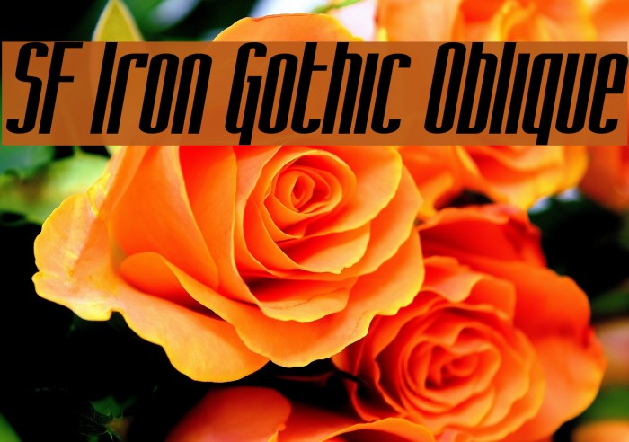 SF Iron Gothic Oblique Font examples