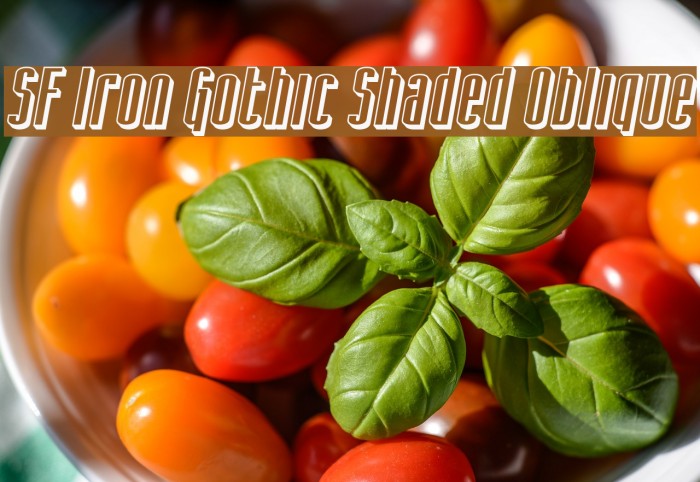 SF Iron Gothic Shaded Oblique Font examples