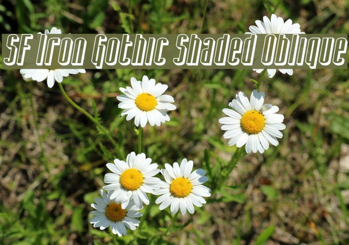 SF Iron Gothic Shaded Oblique Font examples