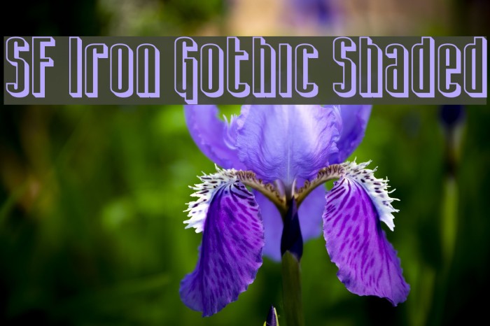 SF Iron Gothic Shaded Шрифта examples