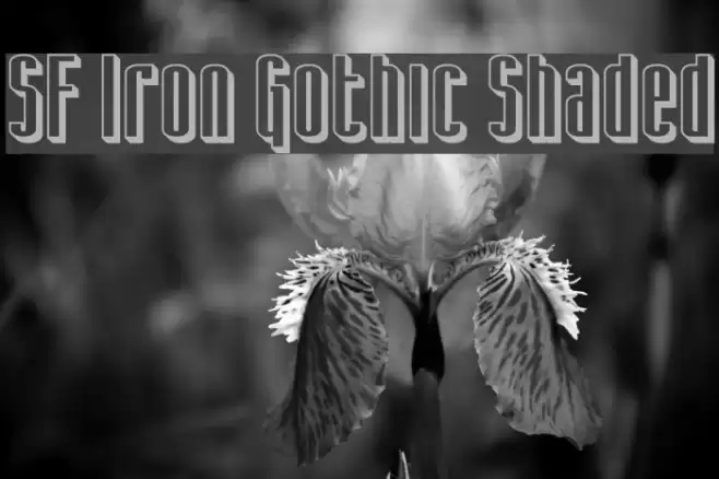 SF Iron Gothic Shaded Caratteri examples