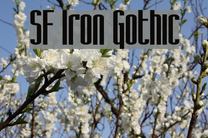 SF Iron Gothic Font examples