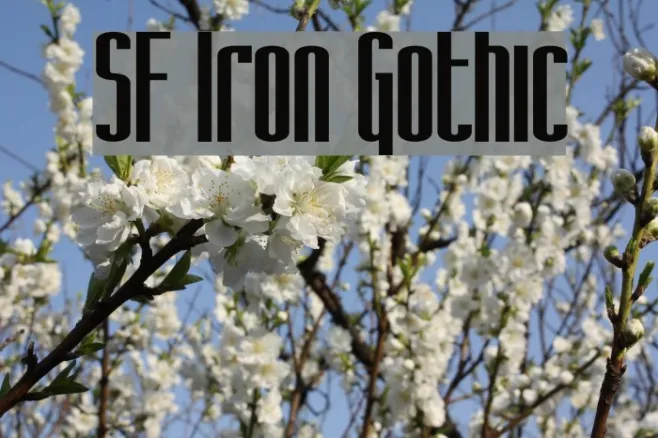 SF Iron Gothic Example 2