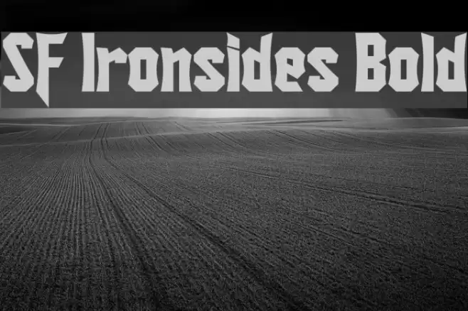 SF Ironsides Bold Font examples