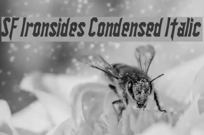 SF Ironsides Condensed Italic Font examples