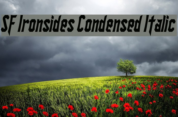 SF Ironsides Condensed Italic Font examples