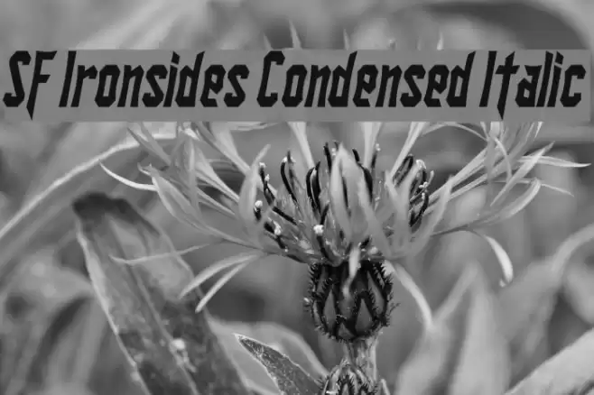 SF Ironsides Condensed Italic Font examples