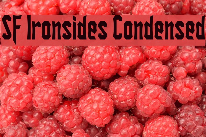 SF Ironsides Condensed Font examples