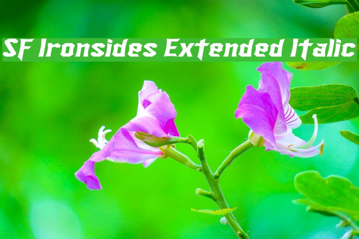 SF Ironsides Extended Italic फ़ॉन्ट examples