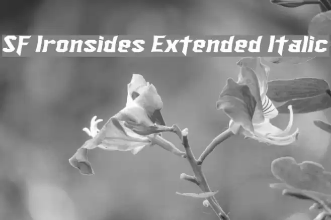 SF Ironsides Extended Italic Schriftart examples