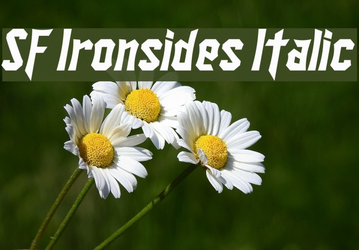 SF Ironsides Italic Font examples