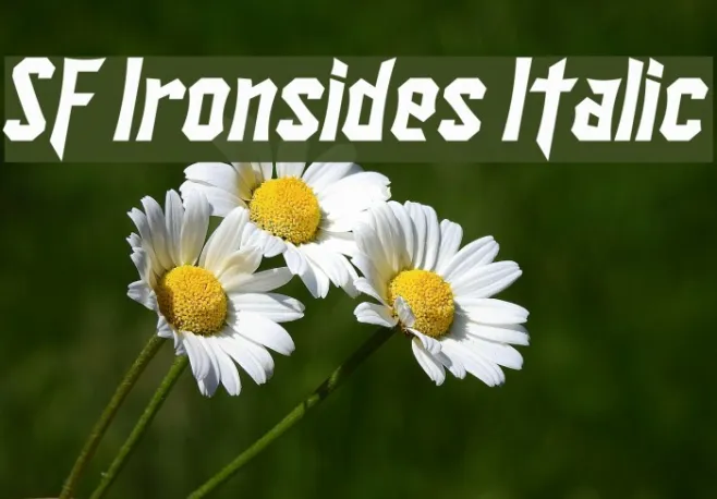 SF Ironsides Italic Example 3