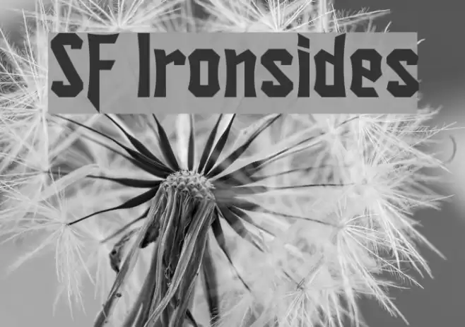 SF Ironsides Font examples