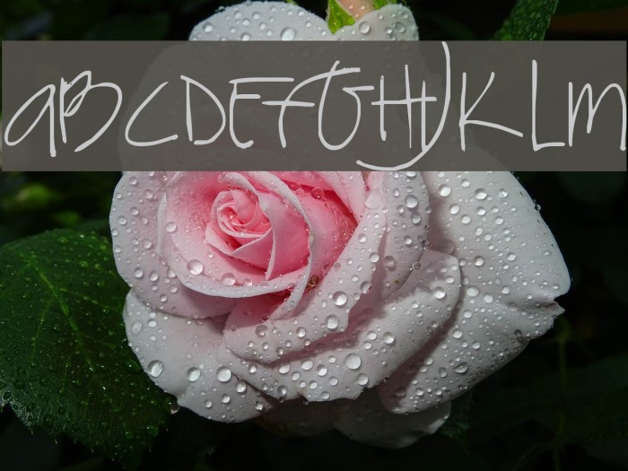 SF-Jojo2 Font examples