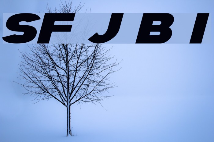 SF Juggernaut Bold Italic Font examples