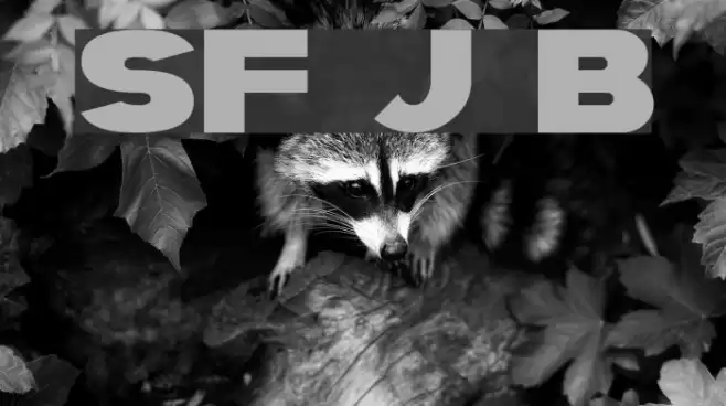 SF Juggernaut Bold Font examples