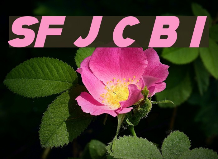 SF Juggernaut Condensed Bold Italic Font examples