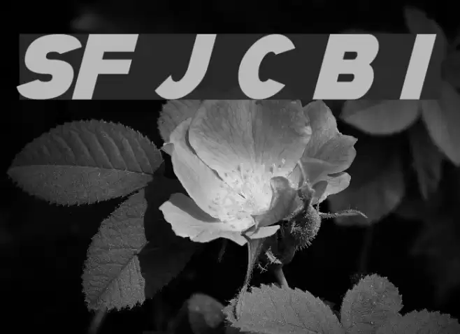 SF Juggernaut Condensed Bold Italic Font examples