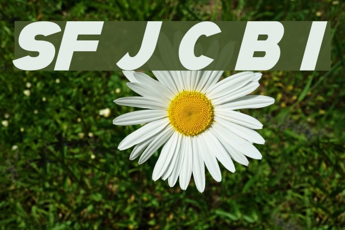 SF Juggernaut Condensed Bold Italic Font examples
