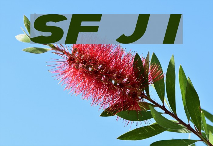SF Juggernaut Italic Font examples
