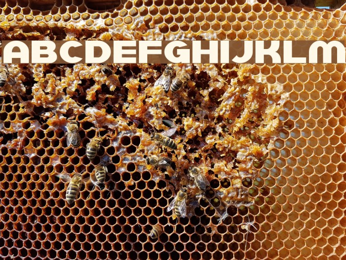 SF Juggernaut Font examples