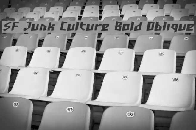 SF Junk Culture Bold Oblique Font examples