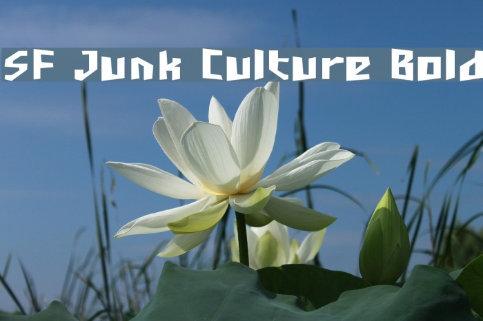SF Junk Culture Bold Font examples