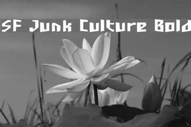 SF Junk Culture Bold Fuentes examples
