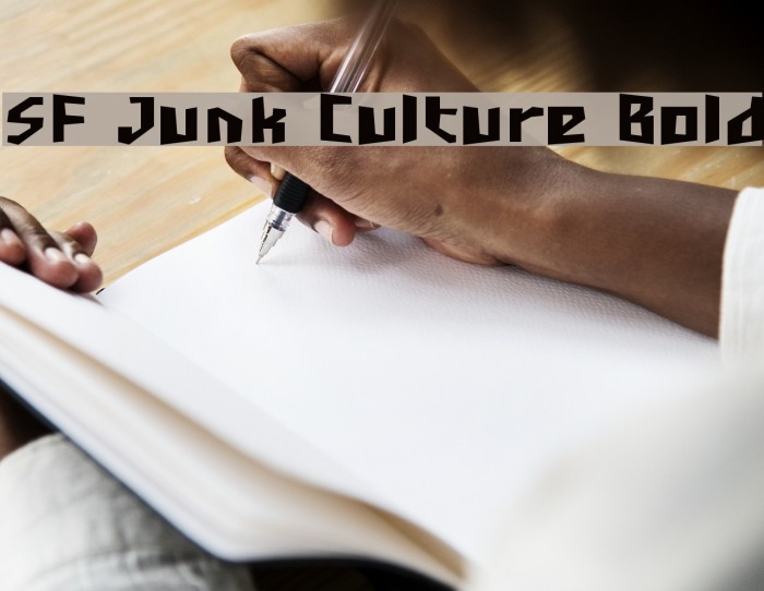 SF Junk Culture Bold Font examples