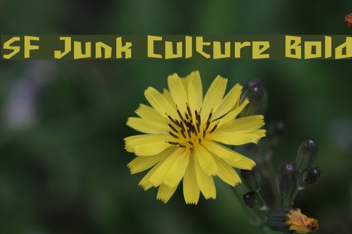 SF Junk Culture Bold Font examples
